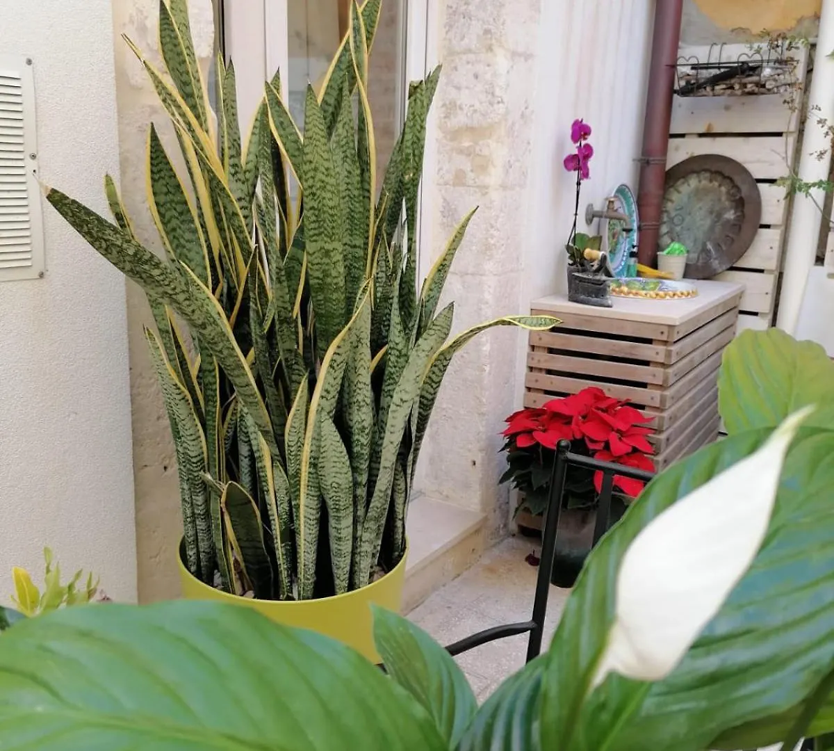 Apartment Ammira